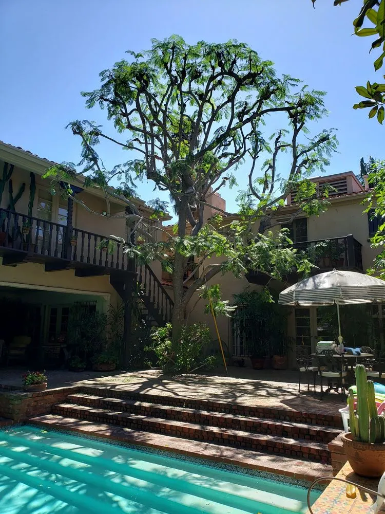 Professional lawn mowing service for outdoor upgrades in Culver City, CA by Oropeza's Landscaping