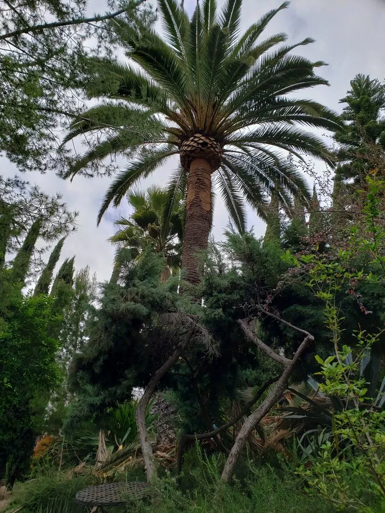 Affordable outdoor landscaping in Culver City, CA - Oropeza's Landscaping