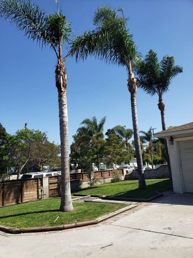 Local landscape installation for residential properties in Culver City, CA by Oropeza's Landscaping