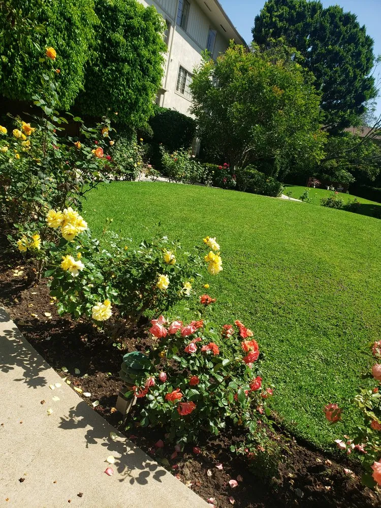 Reliable lawn mowing service in Culver City, CA - Oropeza's Landscaping