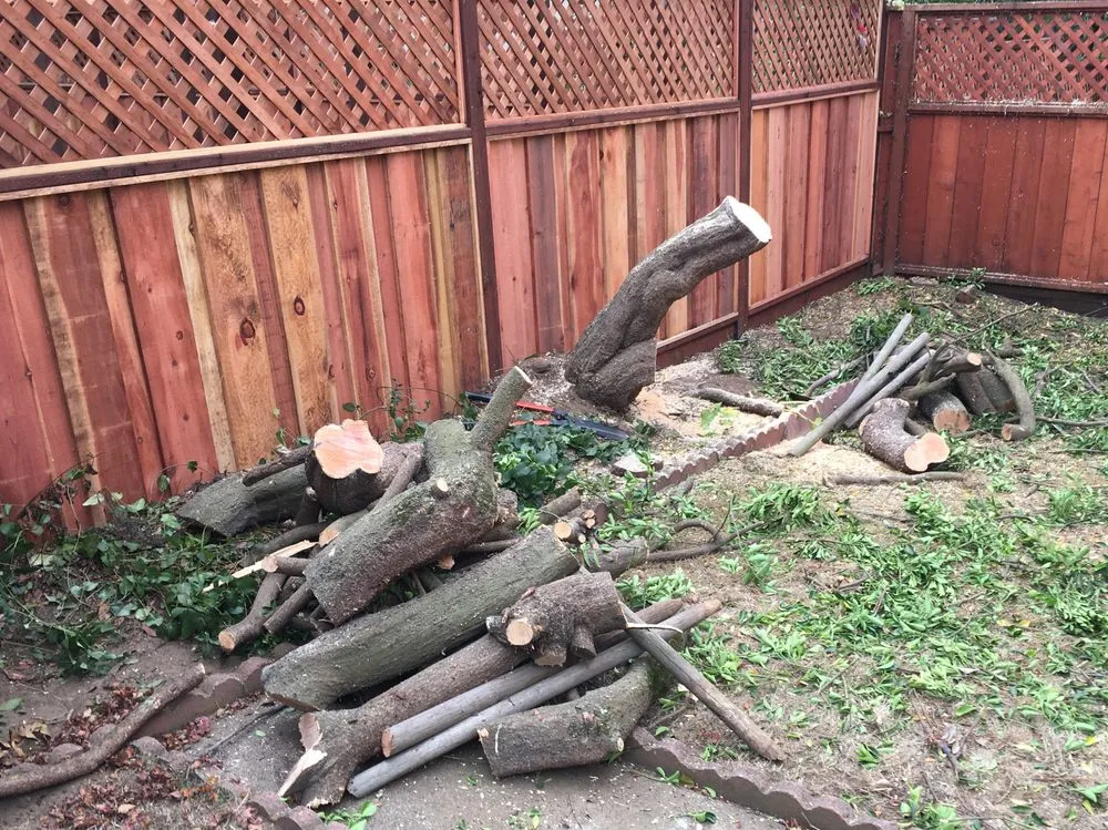 Local yard cleanup service in Oakland, CA - Orozco Garden