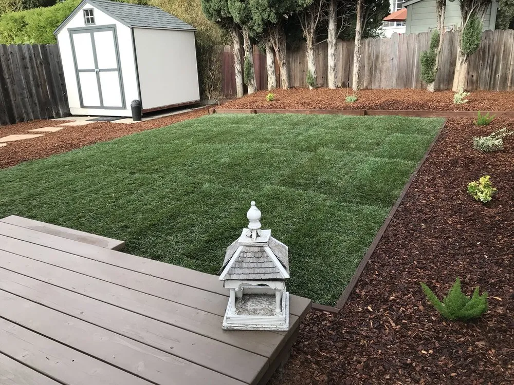 Expert lawn care service near you in Oakland, CA by Orozco Garden