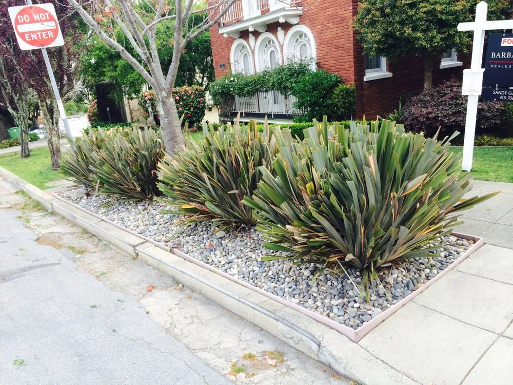 Professional landscaping services for residential properties in Oakland, CA by Orozco Garden
