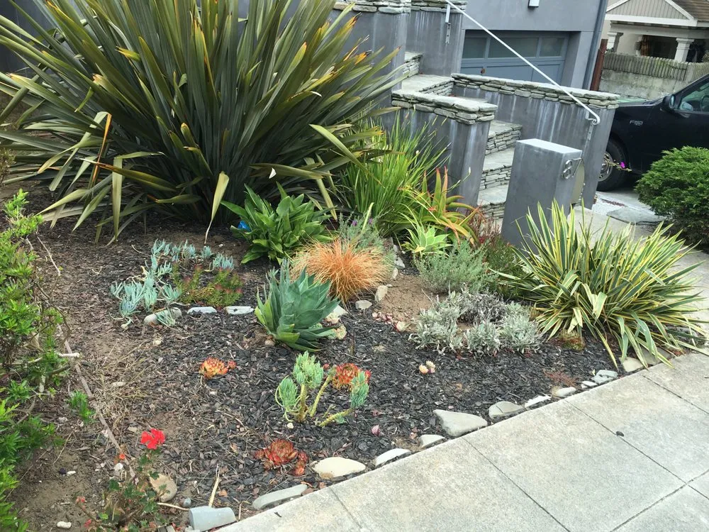 Top-rated lawn care service in Oakland, CA - Orozco Garden