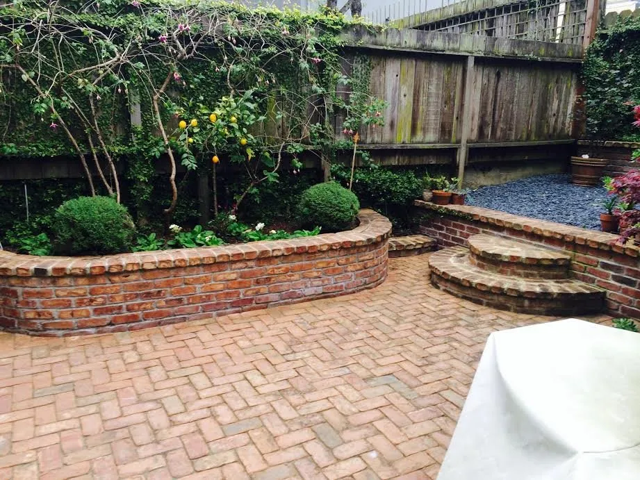 Professional lawn care service in Oakland, CA by Orozco Garden