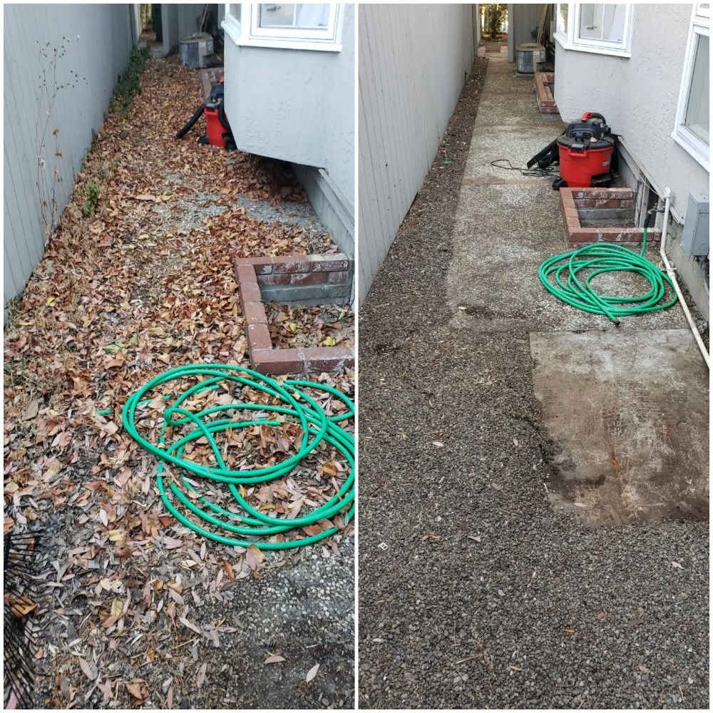 Custom yard maintenance in Redwood City, CA - Orozco Gardening Service