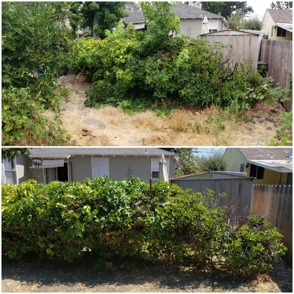 Trusted outdoor landscaping experts serving Redwood City, CA - Orozco Gardening Service