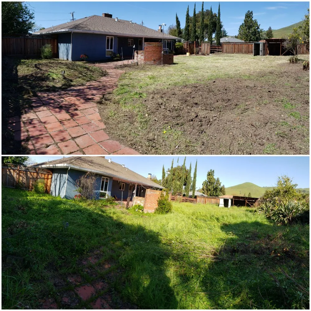 Top-rated outdoor landscaping in Redwood City, CA - Orozco Gardening Service