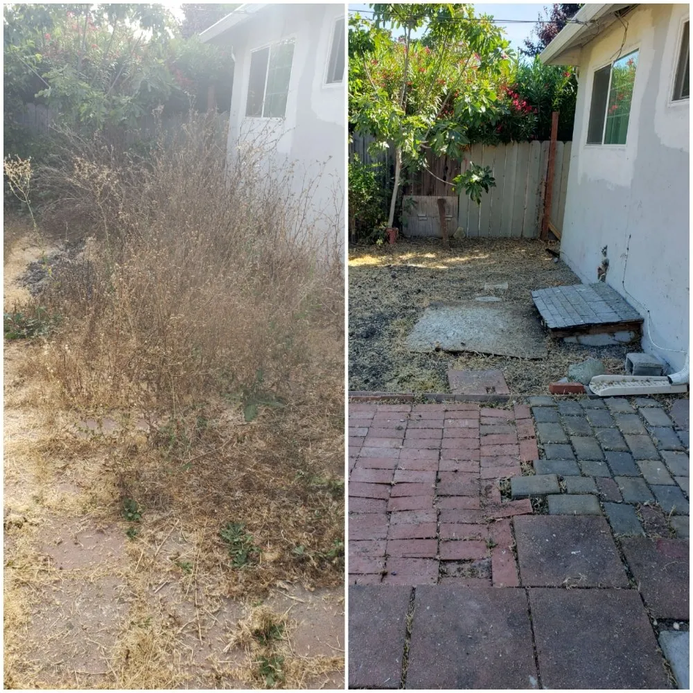 Reliable outdoor landscaping in Redwood City, CA by Orozco Gardening Service
