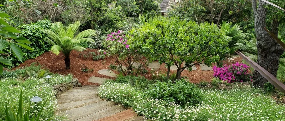 Trusted lawn mowing service experts serving Redwood City, CA - Orozco Gardening Service