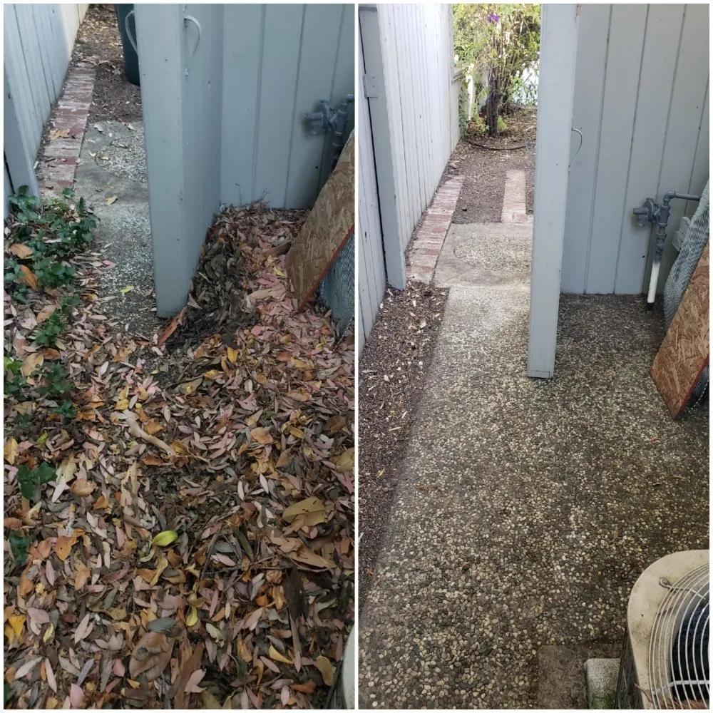 Local landscaping services experts serving Redwood City, CA - Orozco Gardening Service