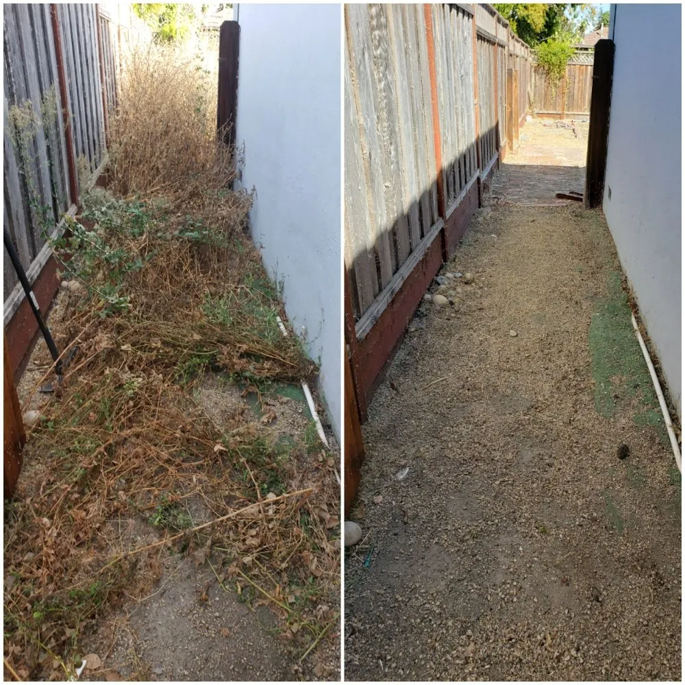 Expert landscape design in Redwood City, CA by Orozco Gardening Service