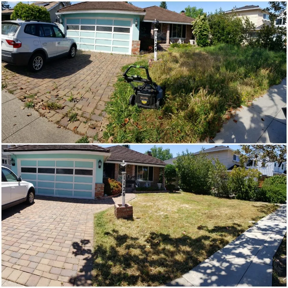 Affordable landscape installation in Redwood City, CA - Orozco Gardening Service