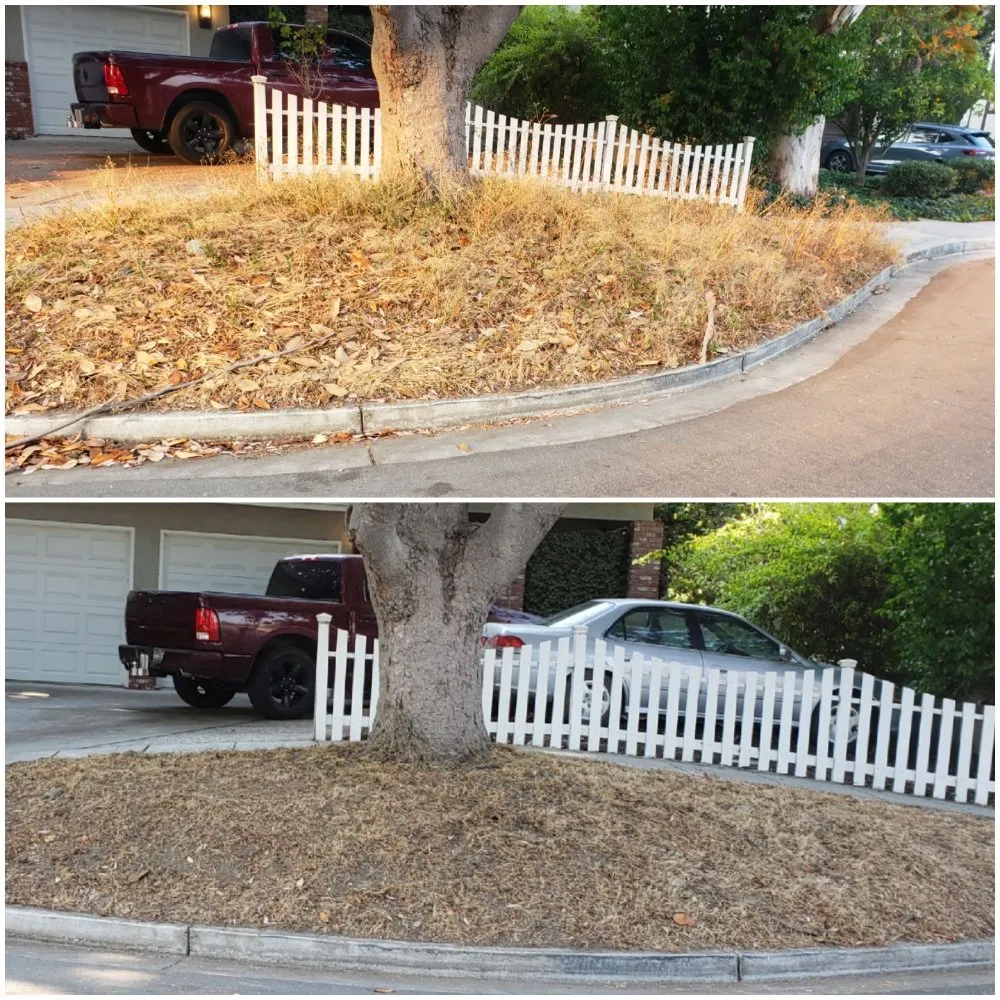 Expert garden landscaping in Redwood City, CA by Orozco Gardening Service
