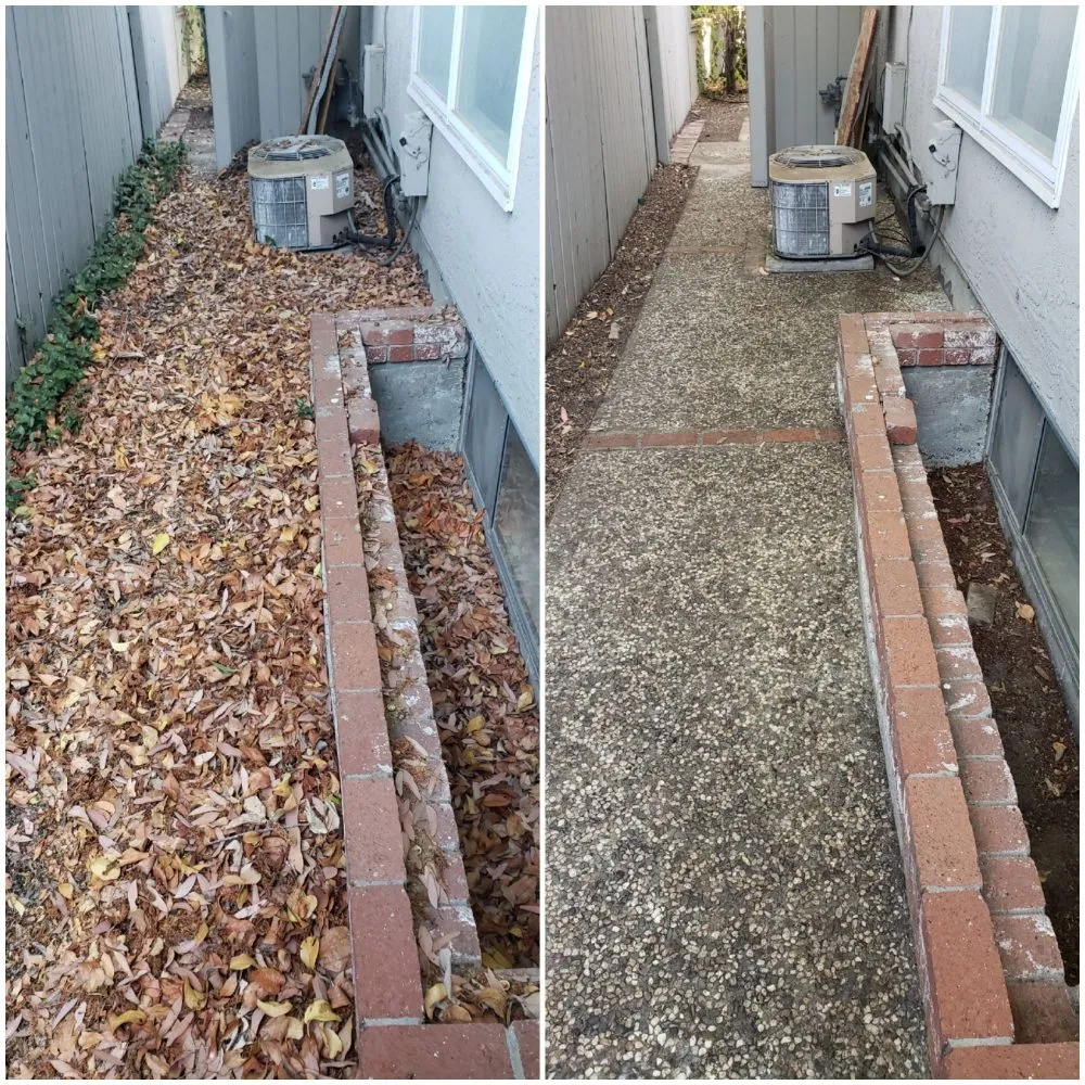 Reliable yard cleanup service for residential properties across Redwood City, CA - Orozco Gardening Service