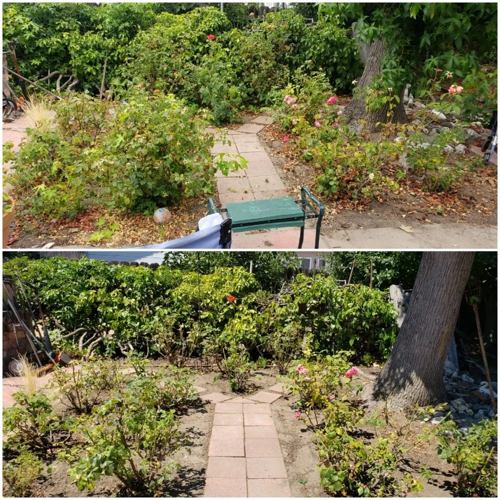 Top-rated landscaping services in Redwood City, CA - Orozco Gardening Service