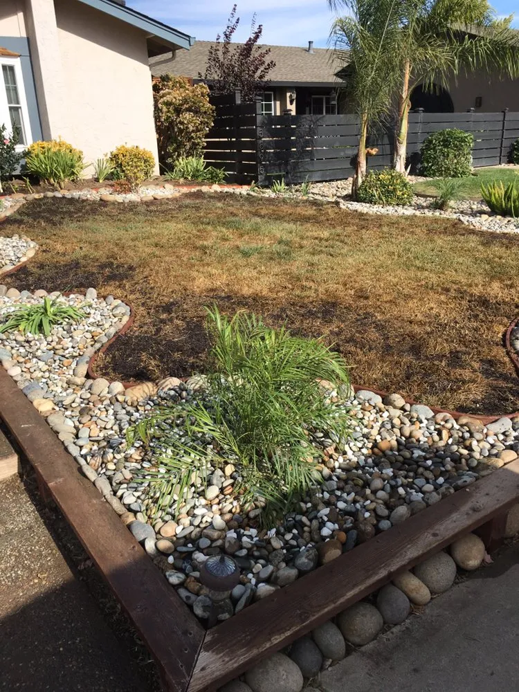 Trusted yard maintenance in San Jose, CA by Orozco Landscape Design