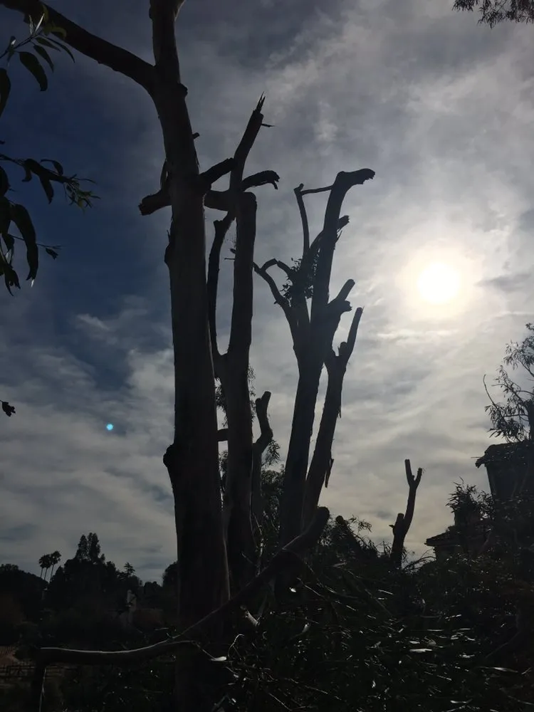 Custom lawn care service experts serving San Jose, CA - Orozco Landscape Design