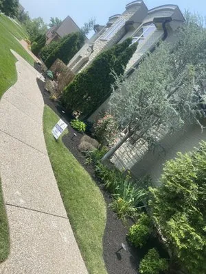 Orozco Landscaping & Lawn Care and Trees Logo