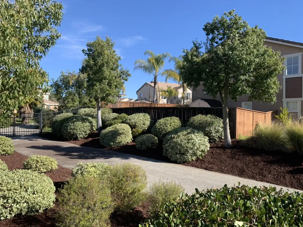 Reliable landscaping services experts serving Perris, CA - Orozco Landscaping Services