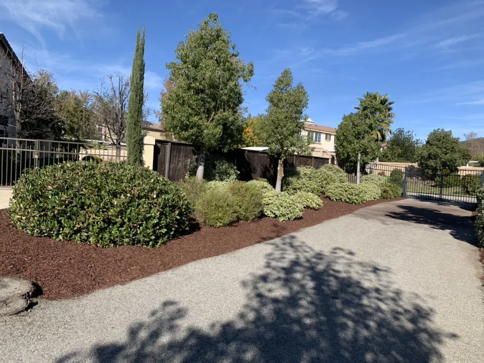 Trusted garden landscaping for year-round maintenance in Perris, CA by Orozco Landscaping Services