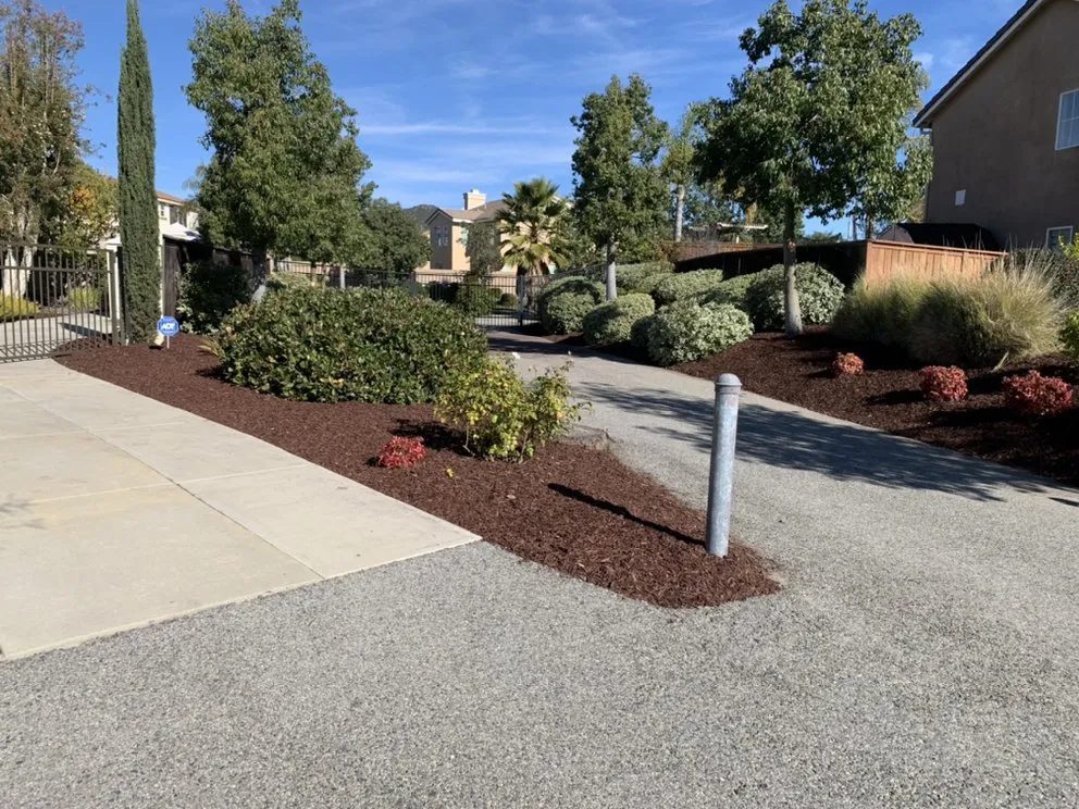 Custom yard maintenance experts serving Perris, CA - Orozco Landscaping Services