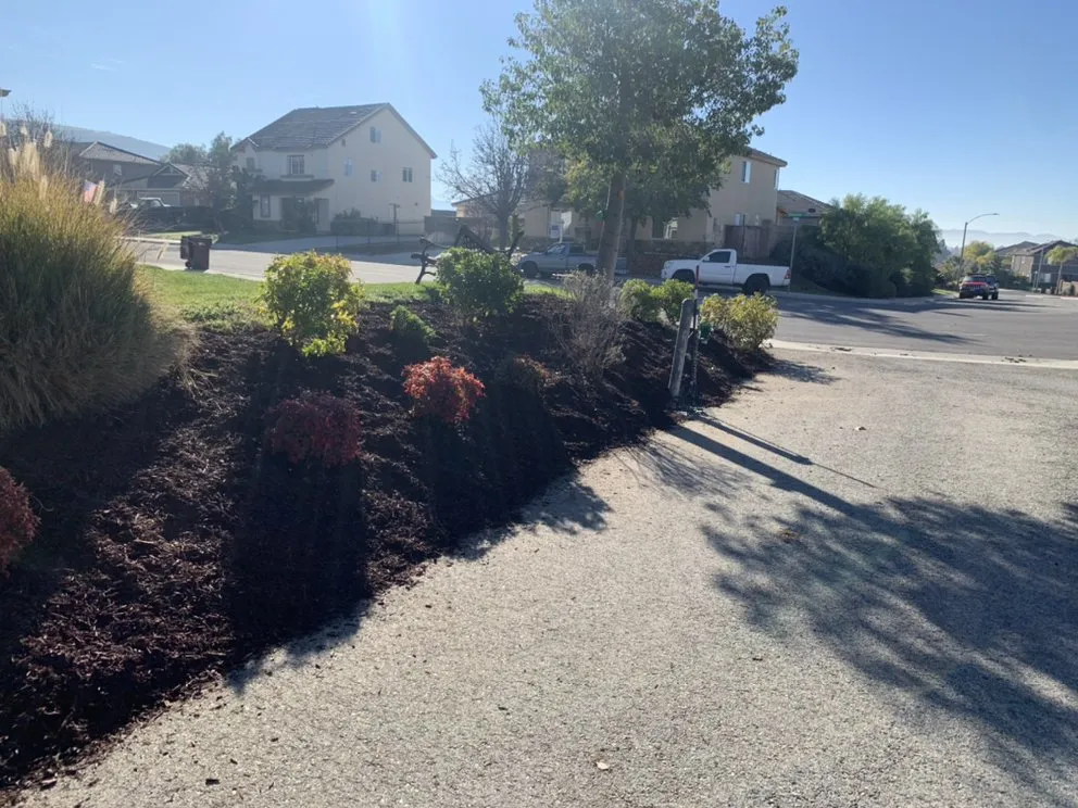 Top-rated residential landscaping experts serving Perris, CA - Orozco Landscaping Services