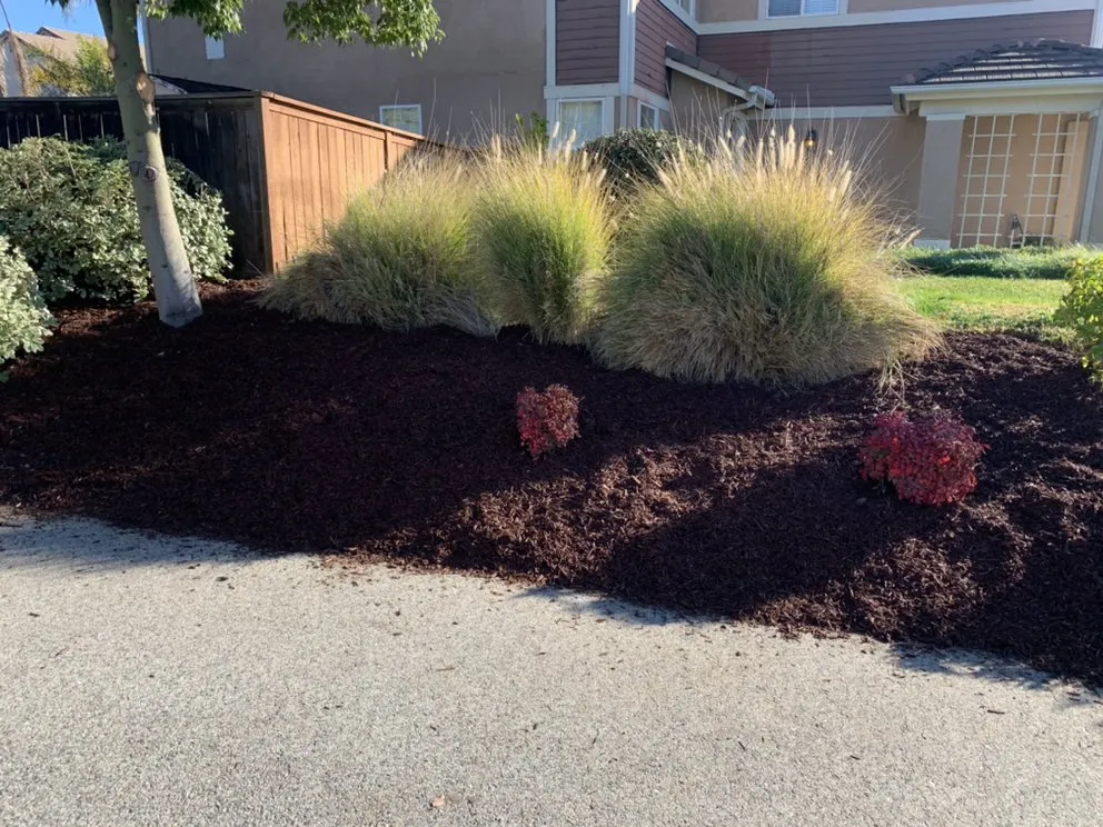 Custom outdoor landscaping with custom design across Perris, CA - Orozco Landscaping Services