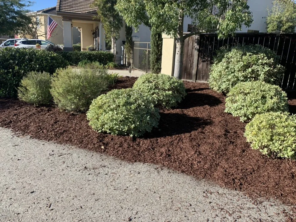 Custom landscaping services experts serving Perris, CA - Orozco Landscaping Services