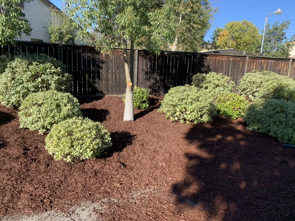 Custom landscape design experts serving Perris, CA - Orozco Landscaping Services