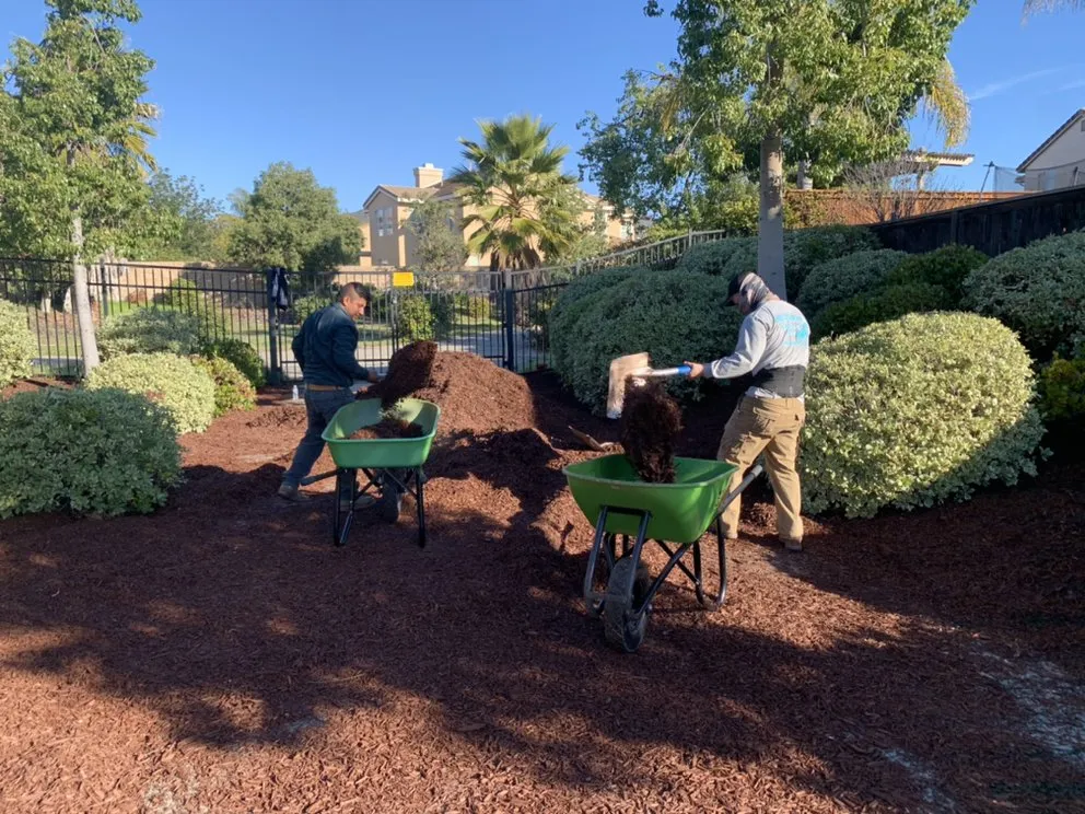 Local lawn care service for outdoor upgrades across Perris, CA - Orozco Landscaping Services