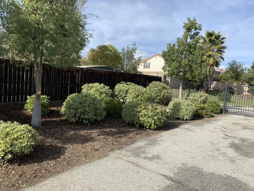 Local landscaping services in Perris, CA by Orozco Landscaping Services