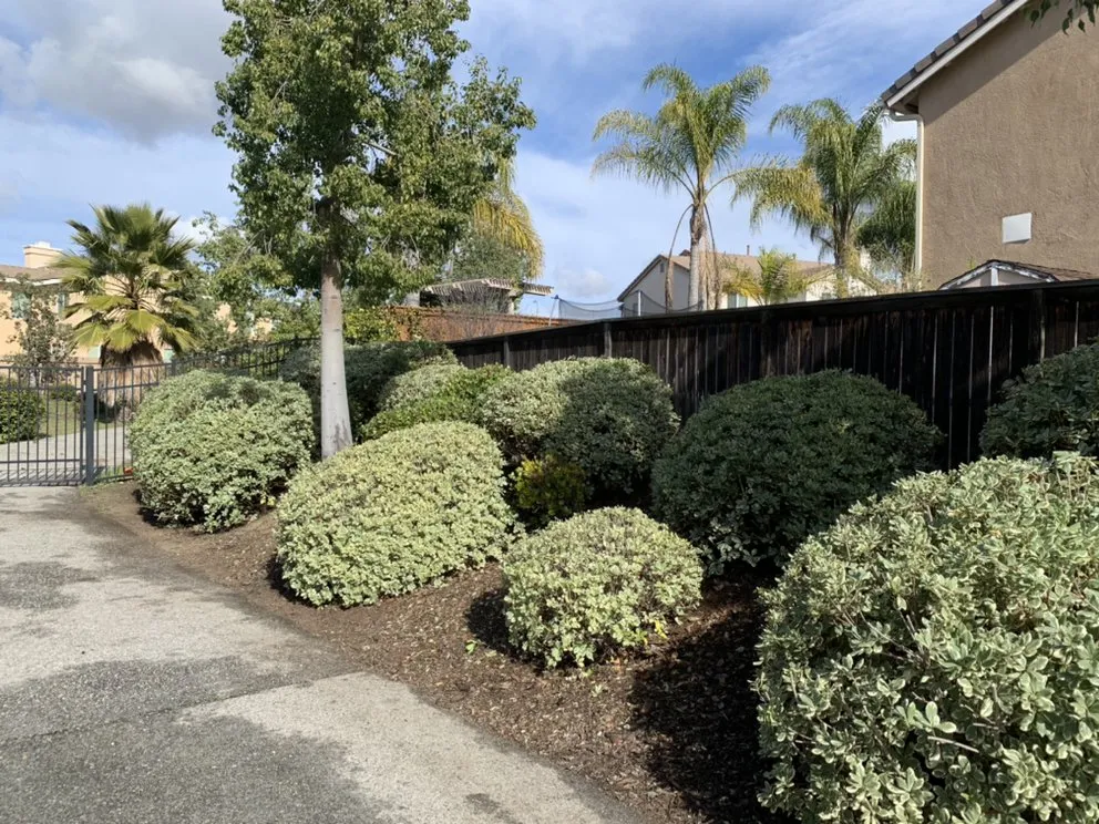 Reliable landscape design in Perris, CA - Orozco Landscaping Services