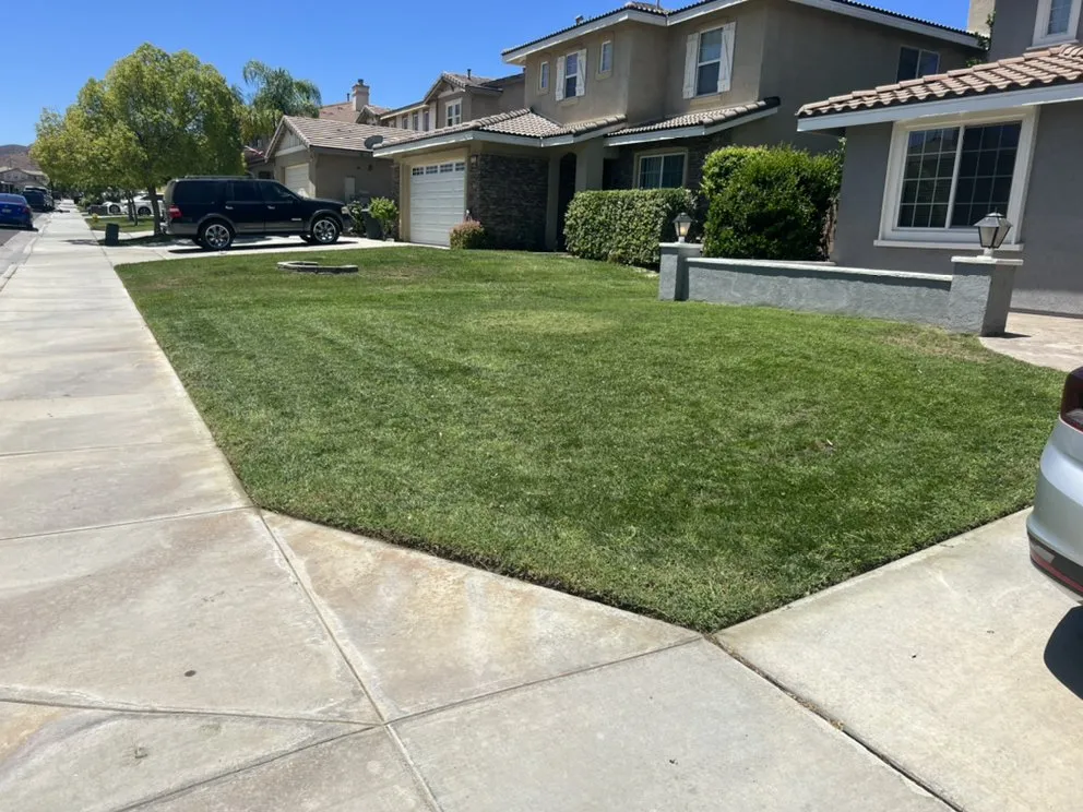 Professional yard cleanup service in Beaumont, CA by Orozco Mowz