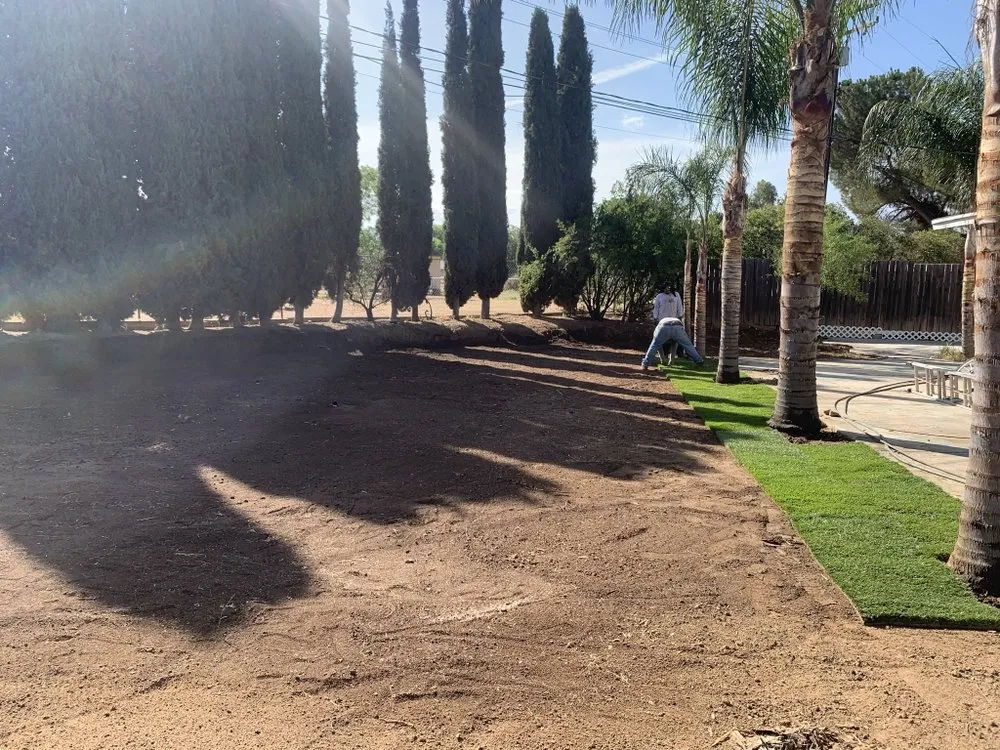 Trusted landscaping services for beautiful yards in Beaumont, CA by Orozco Mowz
