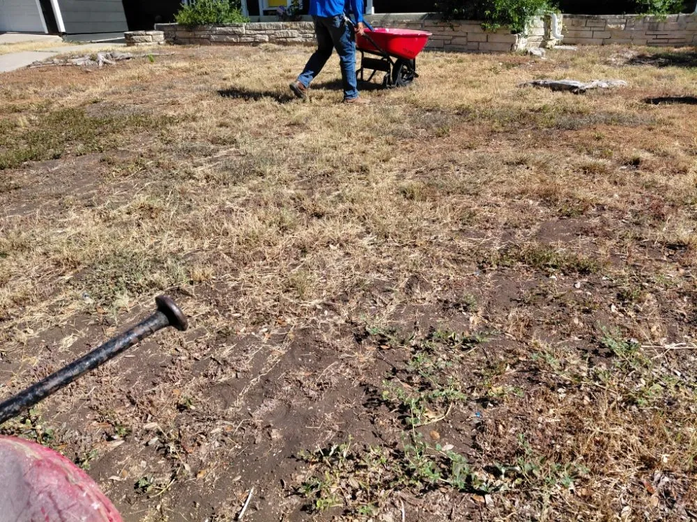 Custom yard maintenance near you in San Antonio, TX by Orozco