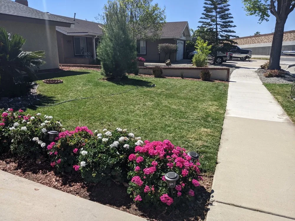 Top-rated garden landscaping in Santa Ana, CA by Orozco Special Landscape & Tree Service