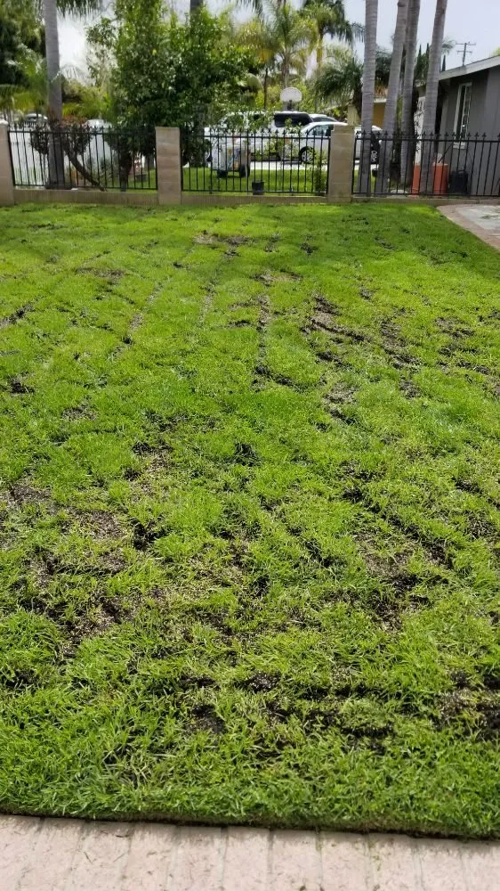 Expert garden landscaping for outdoor upgrades in Santa Ana, CA by Orozco Special Landscape & Tree Service