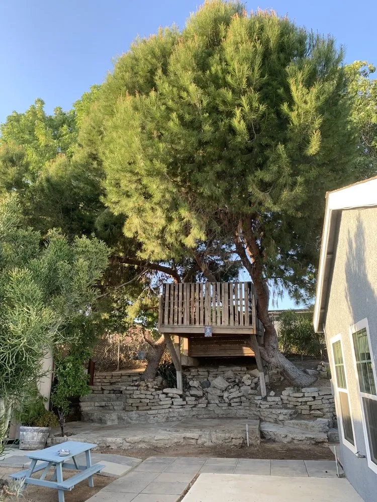 Professional landscape installation for beautiful yards in Santa Ana, CA by Orozco Special Landscape & Tree Service