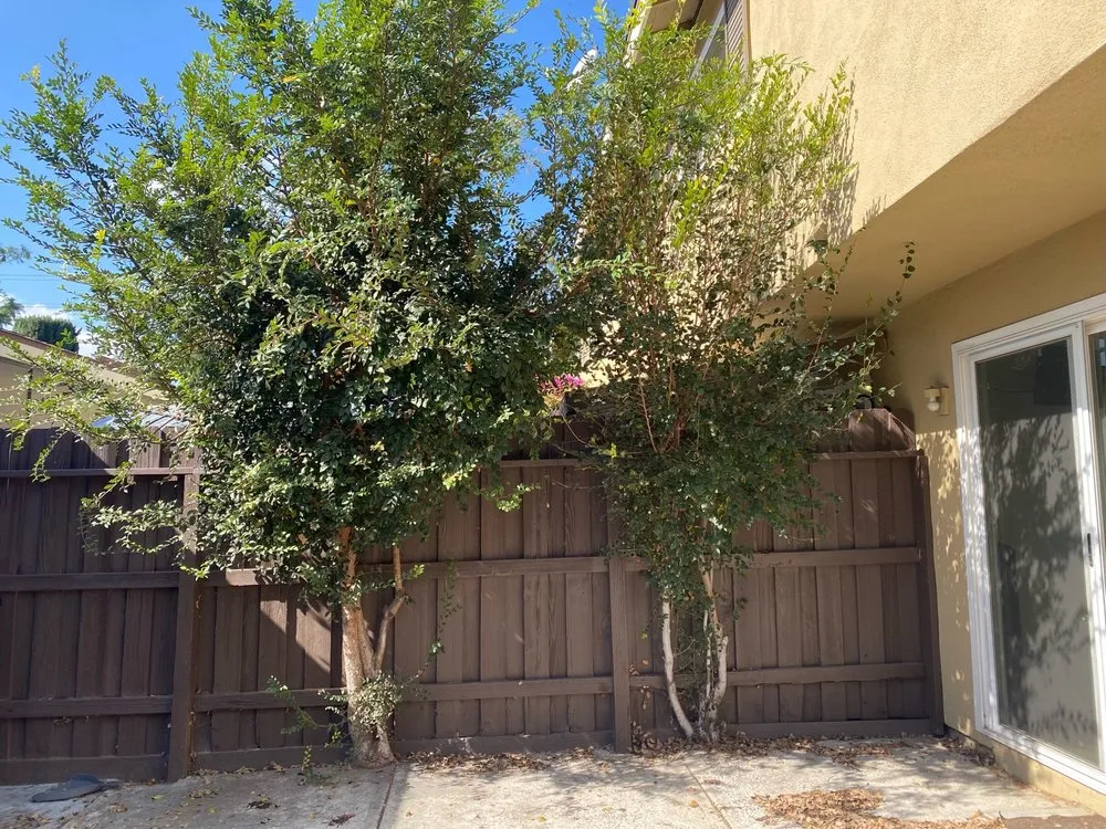 Custom landscape design with custom design across Santa Ana, CA - Orozco Special Landscape & Tree Service