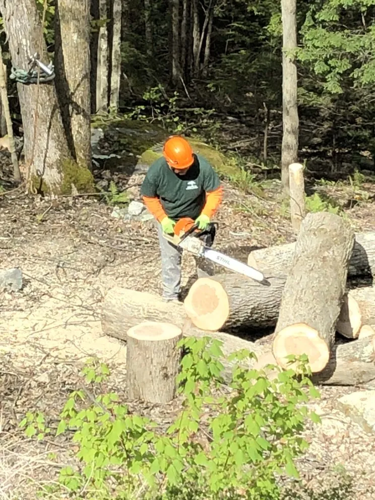 Top-rated landscape installation in Holmes, NY by Orozco Tree Service & Landscaping