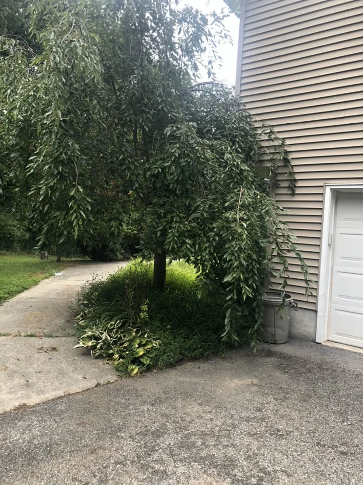 Trusted garden landscaping in Holmes, NY - Orozco Tree Service & Landscaping