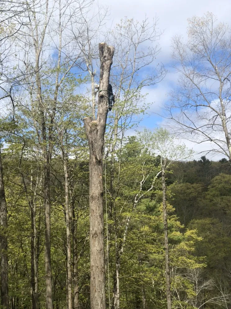Local outdoor landscaping for outdoor upgrades across Holmes, NY - Orozco Tree Service & Landscaping