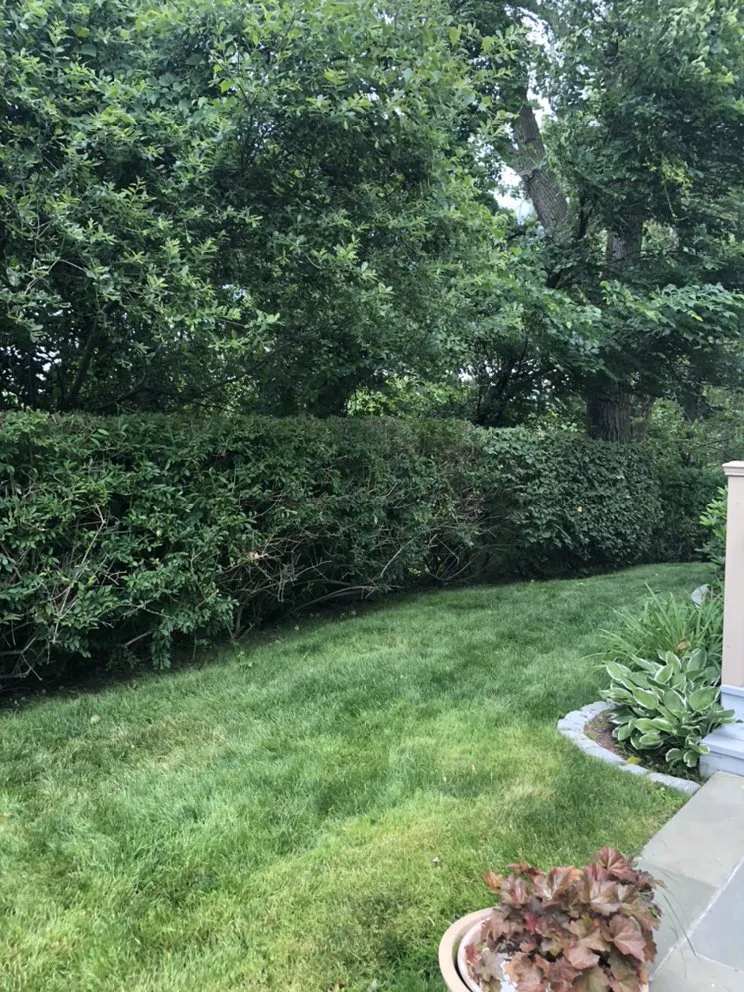 Professional landscaping services for homes in Holmes, NY by Orozco Tree Service & Landscaping
