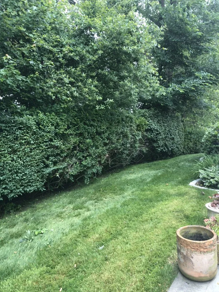 Local landscape installation for outdoor upgrades across Holmes, NY - Orozco Tree Service & Landscaping