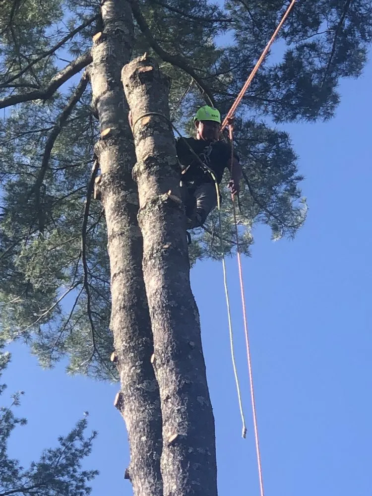 Professional outdoor landscaping in Holmes, NY - Orozco Tree Service & Landscaping
