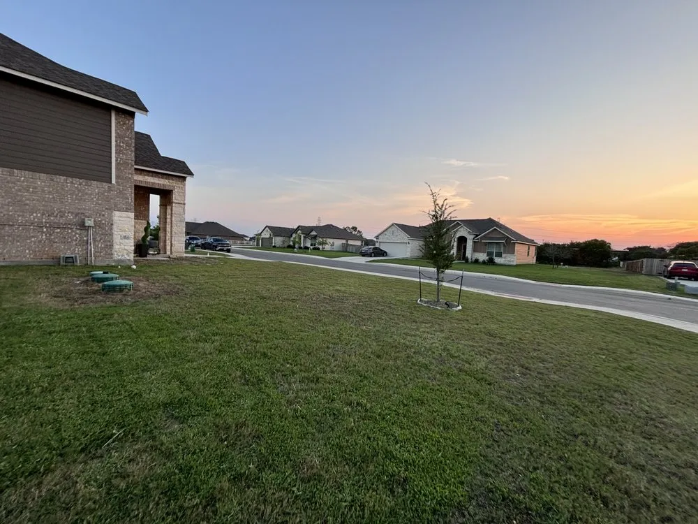 Trusted lawn mowing service in San Antonio, TX by Orozco Yard Restoration