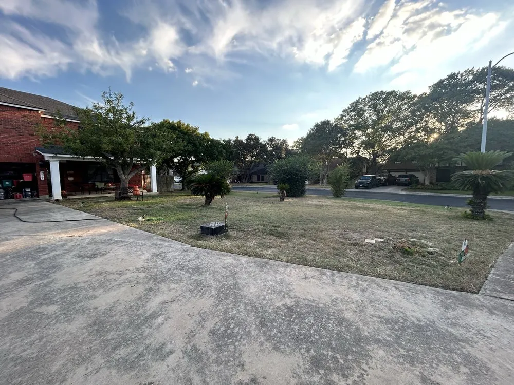 Custom landscape design in San Antonio, TX - Orozco Yard Restoration