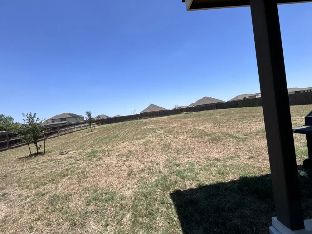 Expert yard cleanup service with custom design in San Antonio, TX by Orozco Yard Restoration