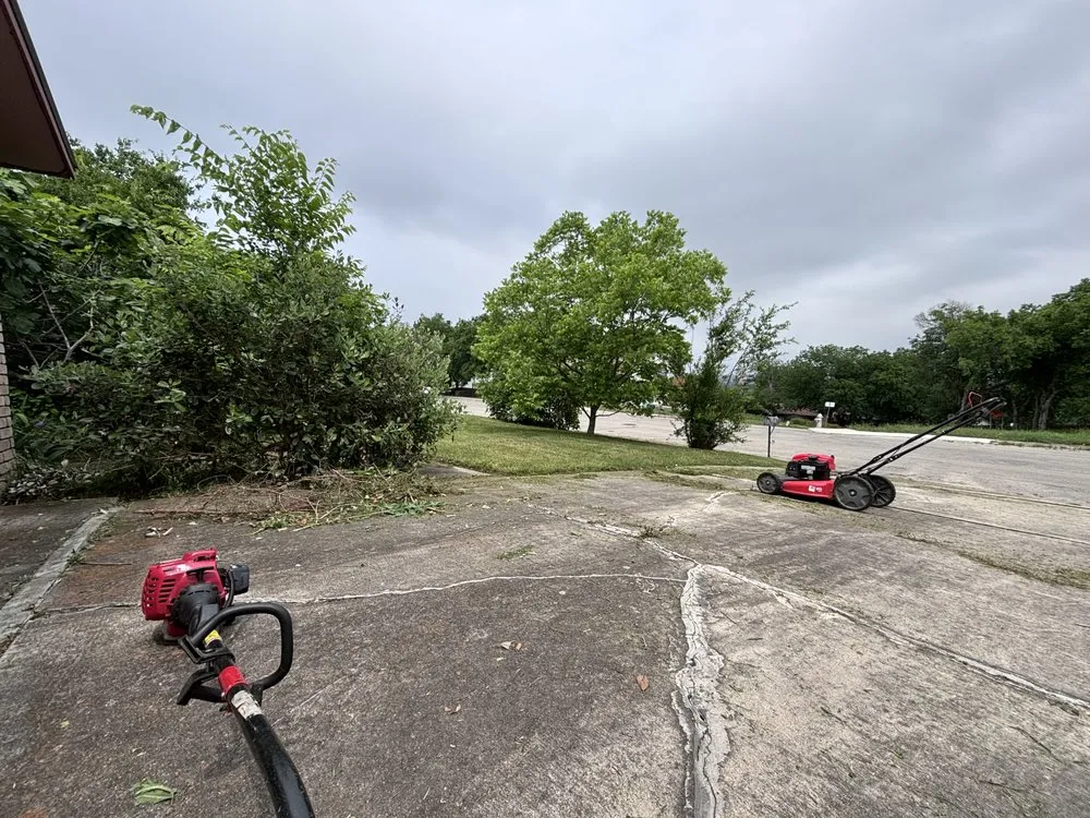 Affordable residential landscaping in San Antonio, TX by Orozco Yard Restoration